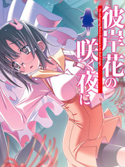 彼岸花盛開之夜