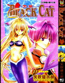 BlackCat黑貓
