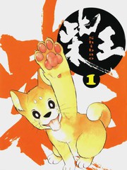 柴王