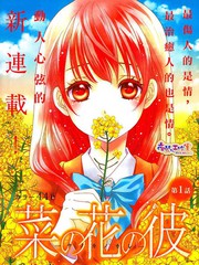 菜乃花的他