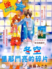 冬空里那閃亮的碎片