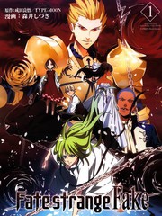 Fate/strange fake