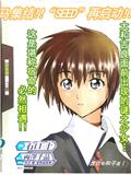 機動戰士高達SEED RE
