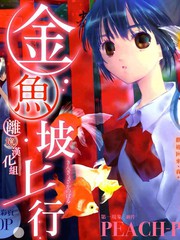 金魚坡上行