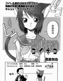 戀貓外傳