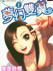 夢幻雙翼