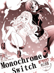 Monochrome Switch