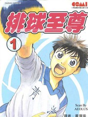 排球至尊