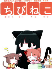 棄貓