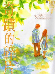 奇迹的碎片