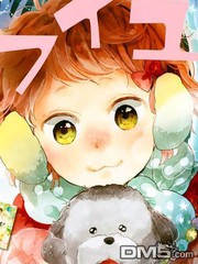 星星與千層糕
