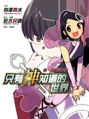 只有神知道的世界小說版
