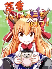 萃香養刺蝟