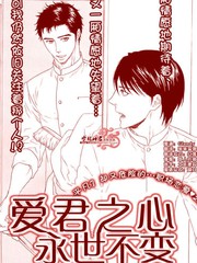 愛君之心永世不變