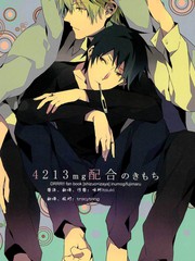 4213mg配合のきもち