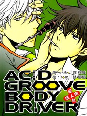 ACIDGROOVEBODYDRIVER