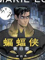 蝙蝠俠-夜行者