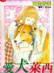 愛犬萊西