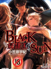 BLACK SUN奴隸王