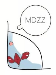 寶馬X6追尾五菱巨集光，結局竟然。。。。