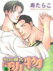 柏拉圖式動物