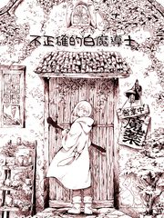 不正確的白魔導士