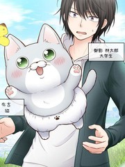 布吉貓