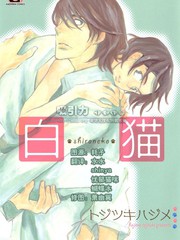 白貓