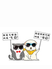 草總和戈總