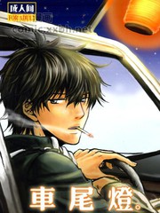 車尾燈（銀土）