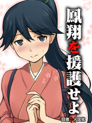對鳳翔施以援手