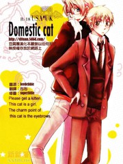 Domesticcat