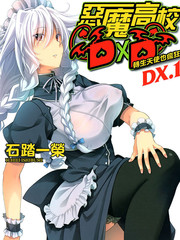 惡魔高校D×D-輕小說