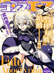 Fate∕Apocrypha