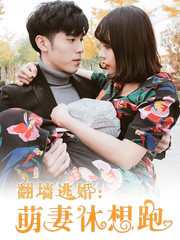 翻牆逃婚：萌妻休想跑