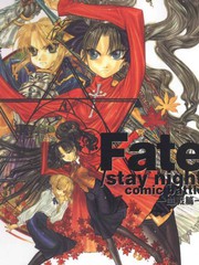 Fate/stay night 血戰篇