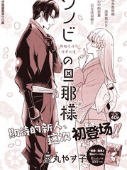 夫君大人是忍者