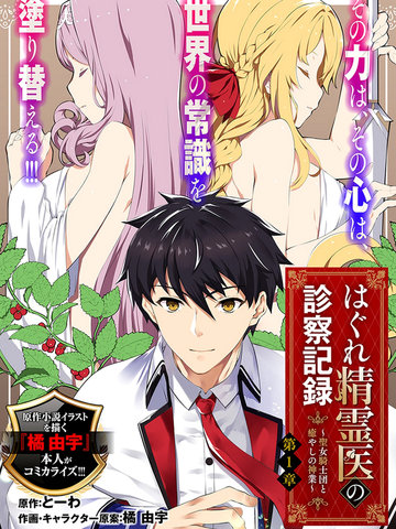 孤獨精靈醫師的診察記錄~聖女騎士團和治癒奇迹~