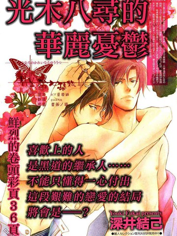 光木八尋的華麗憂鬱