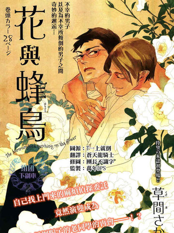 花與蜂鳥