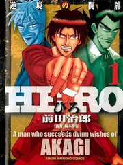 HERO 逆境的鬥牌