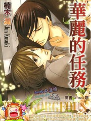 華麗的任務