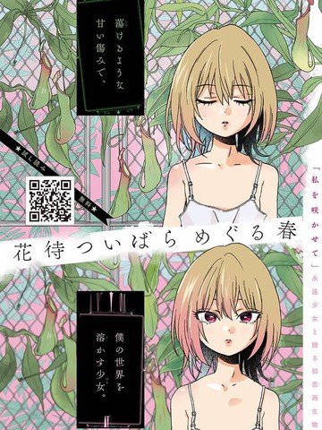 荊姬花待春