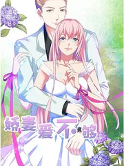 嬌妻愛不夠