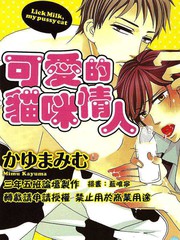 可愛的貓咪情人