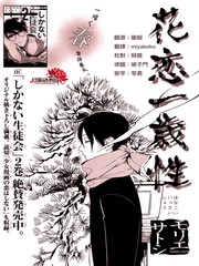 戀花一年開