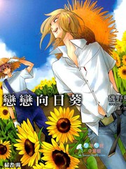 戀戀向日葵
