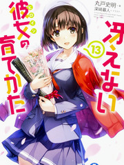 路人女主的養成方法-輕小說