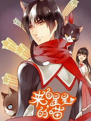 來自星星的喵