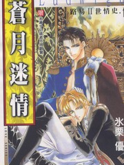路易Ⅱ世情史１